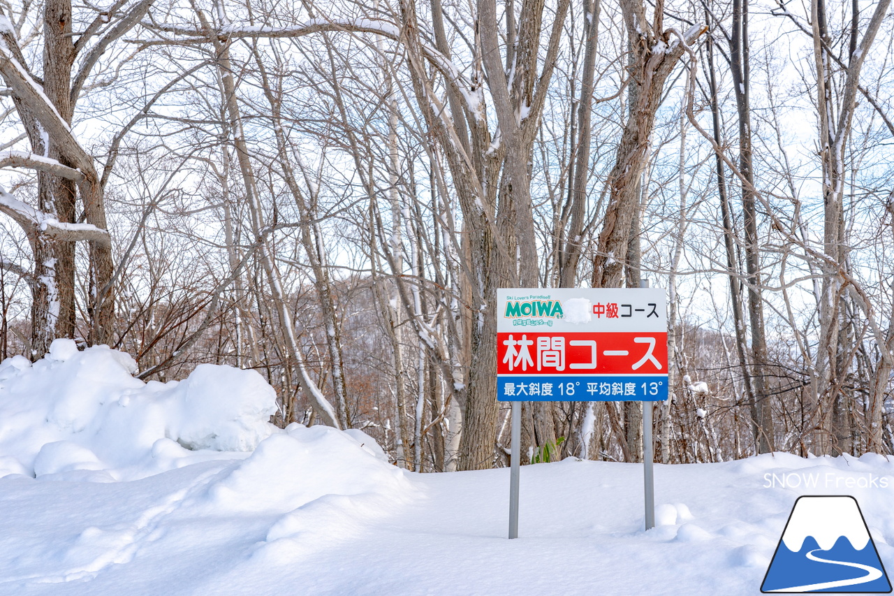 札幌藻岩山スキー場｜ふわっふわの粉雪シーズン到来！思いっきり多彩なコースを楽しみましょう！